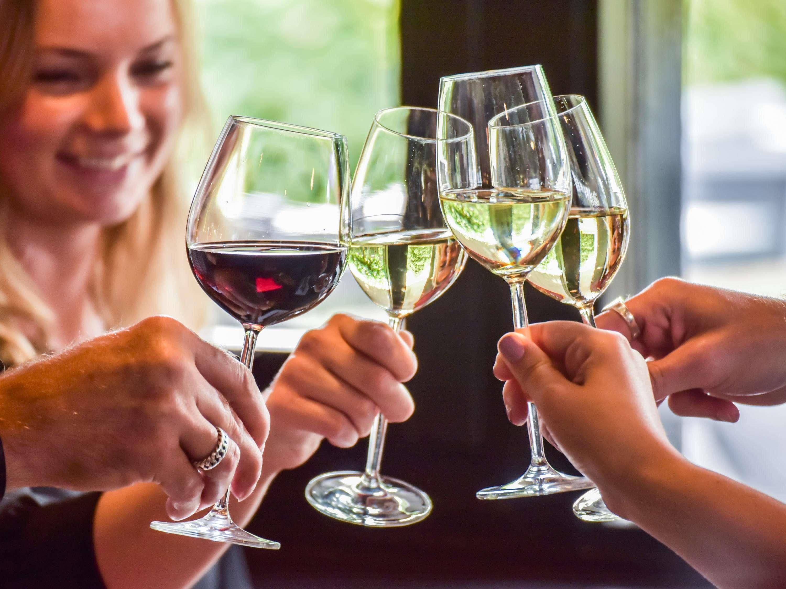 A group of people toasting with wine glasses.