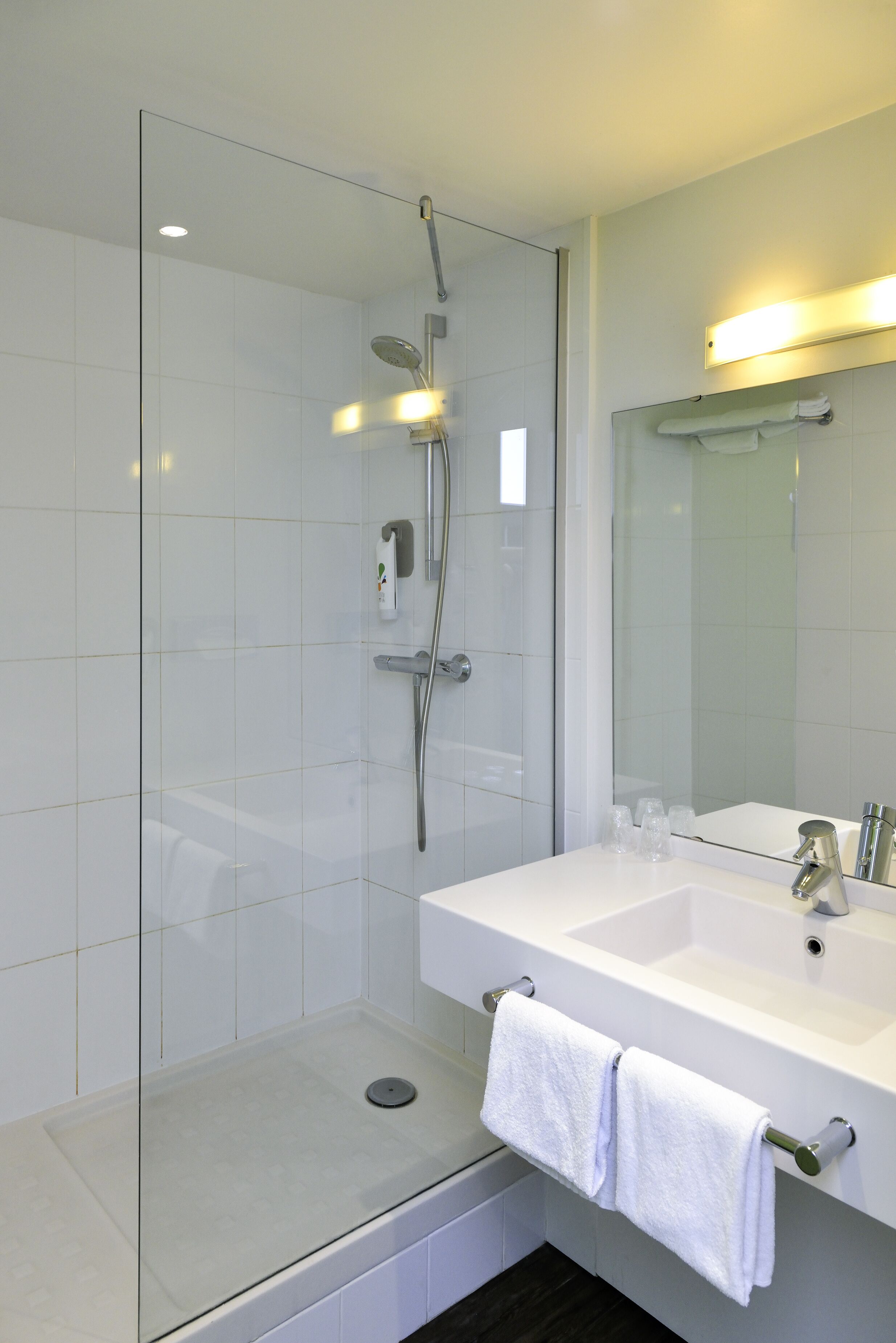 standard room, 1 double bed with sofa bed | bathroom | eco-friendly toiletries, hair dryer, towels