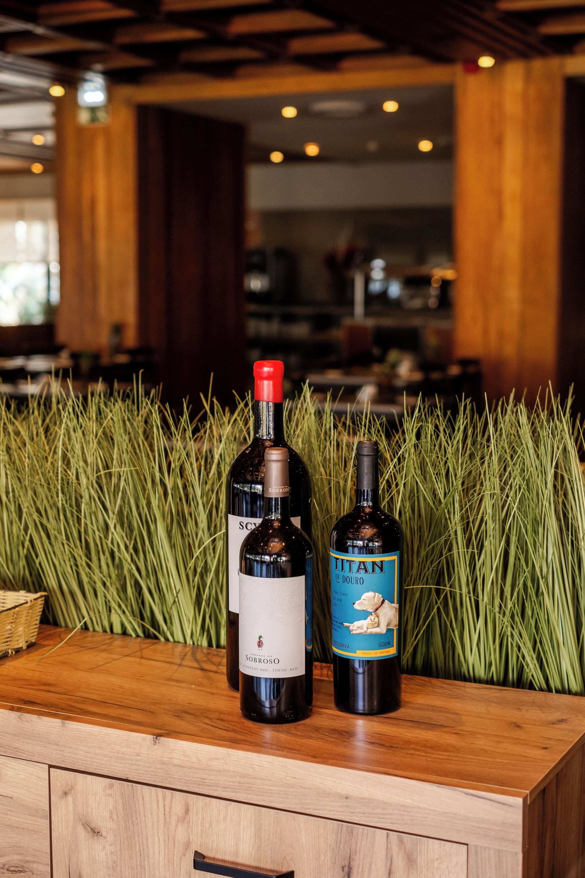 Dos botellas de vino sobre una encimera de madera, con un fondo de plantas verdes altas.