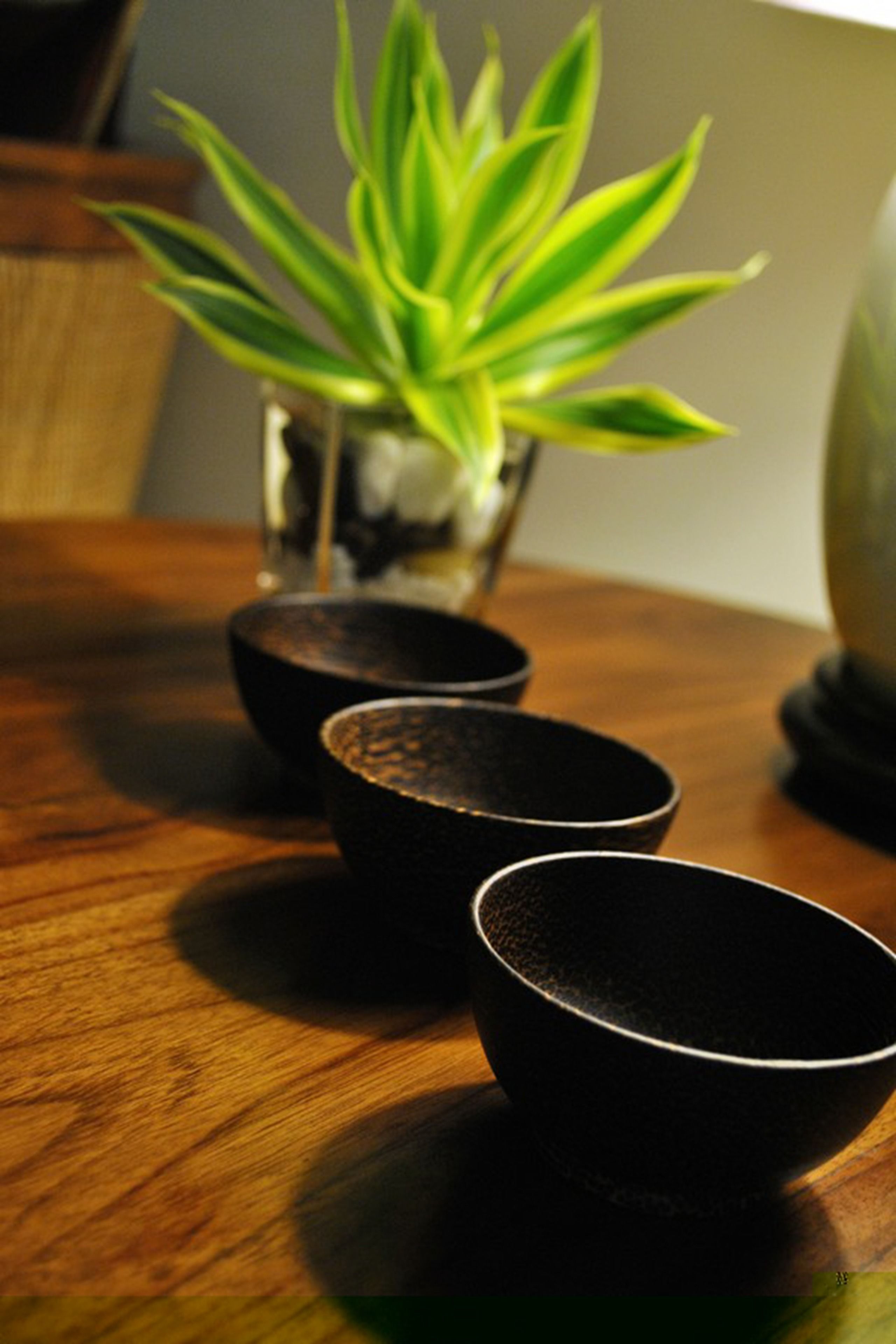 sports massages, body scrubs, facials, reflexology, 3 treatment rooms