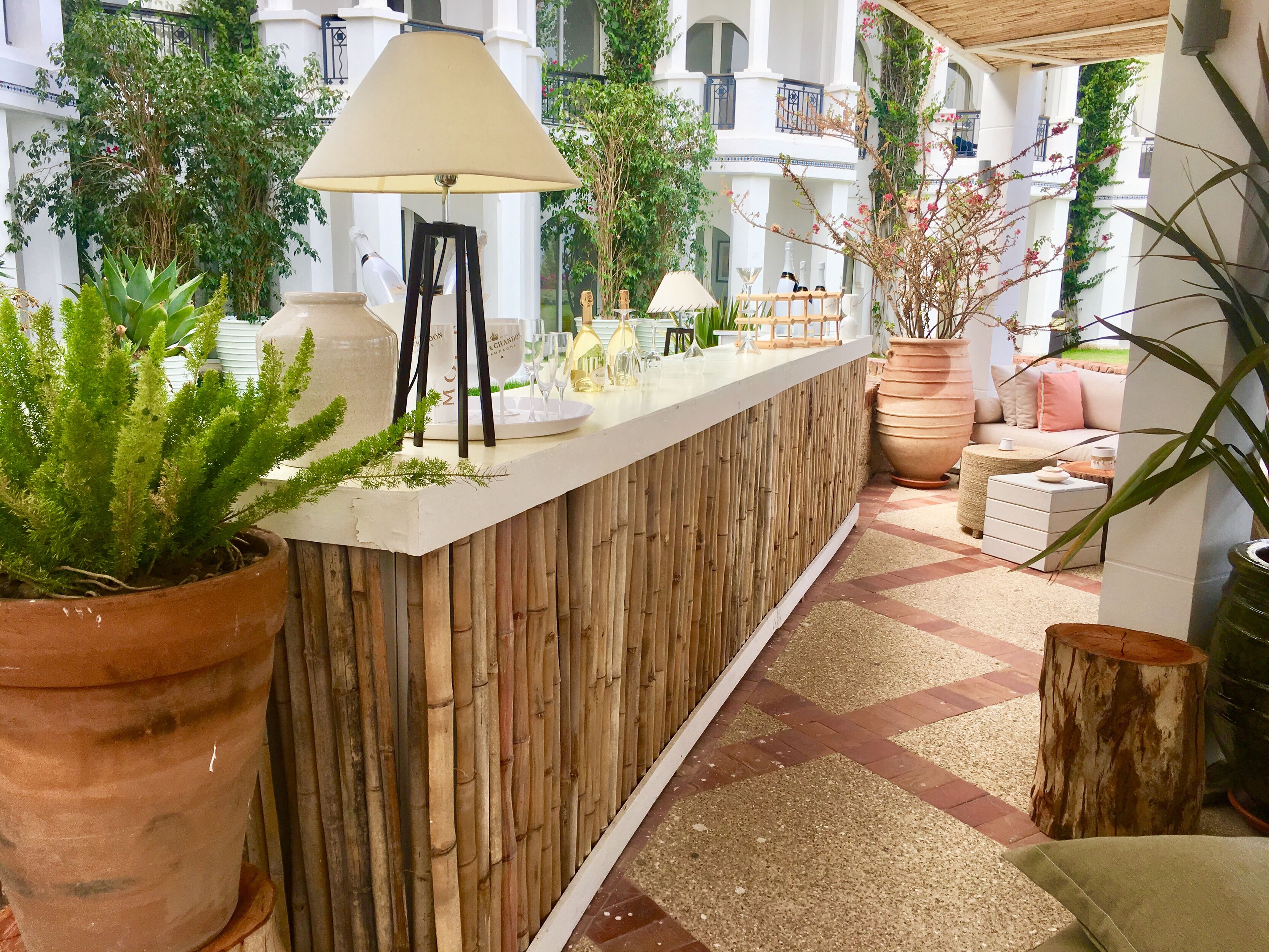 Un área de recepción con un mostrador de madera, plantas en macetas y una zona de estar con sofá y cojines.