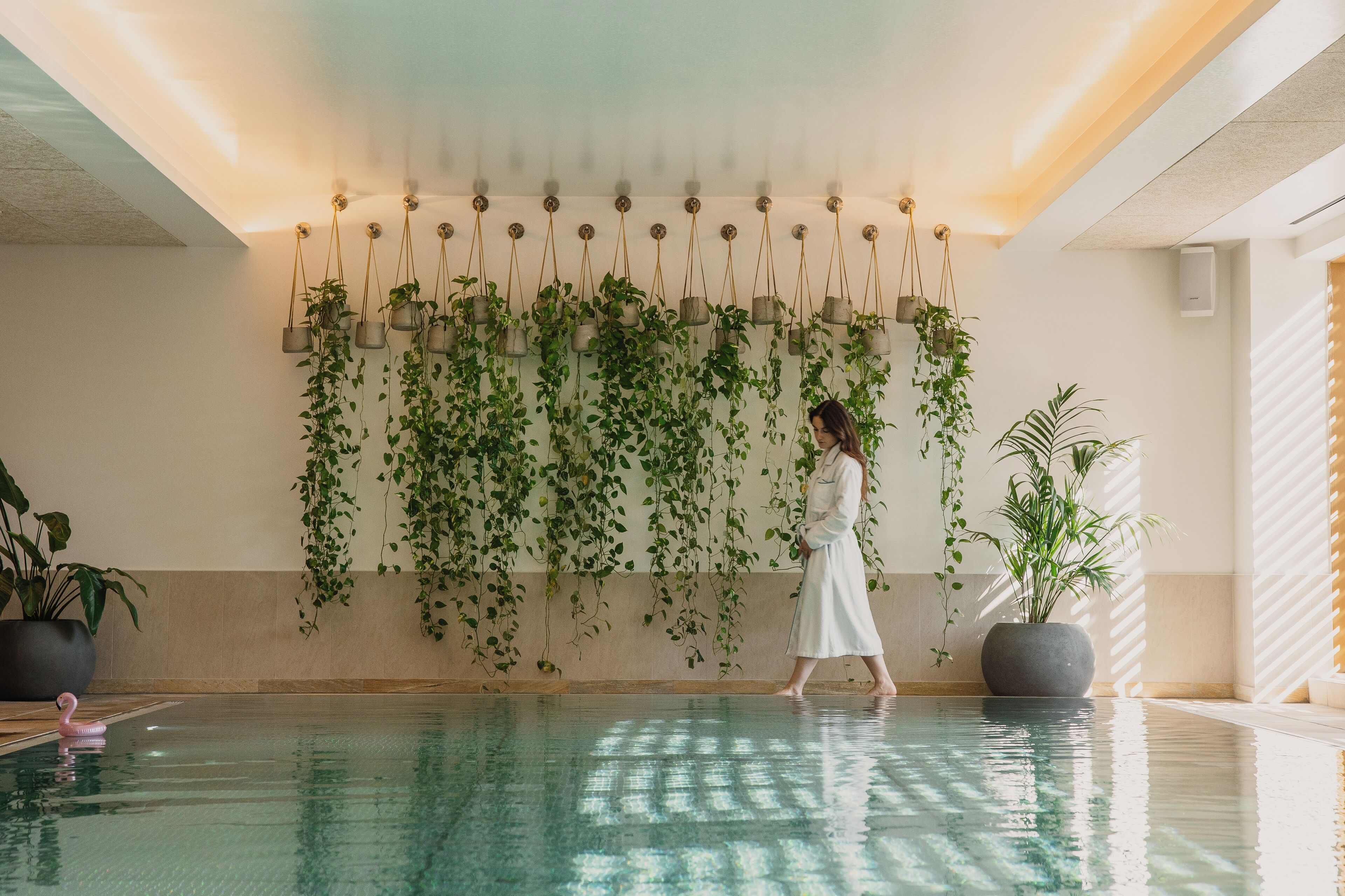 屋内プール、サンラウンジャー