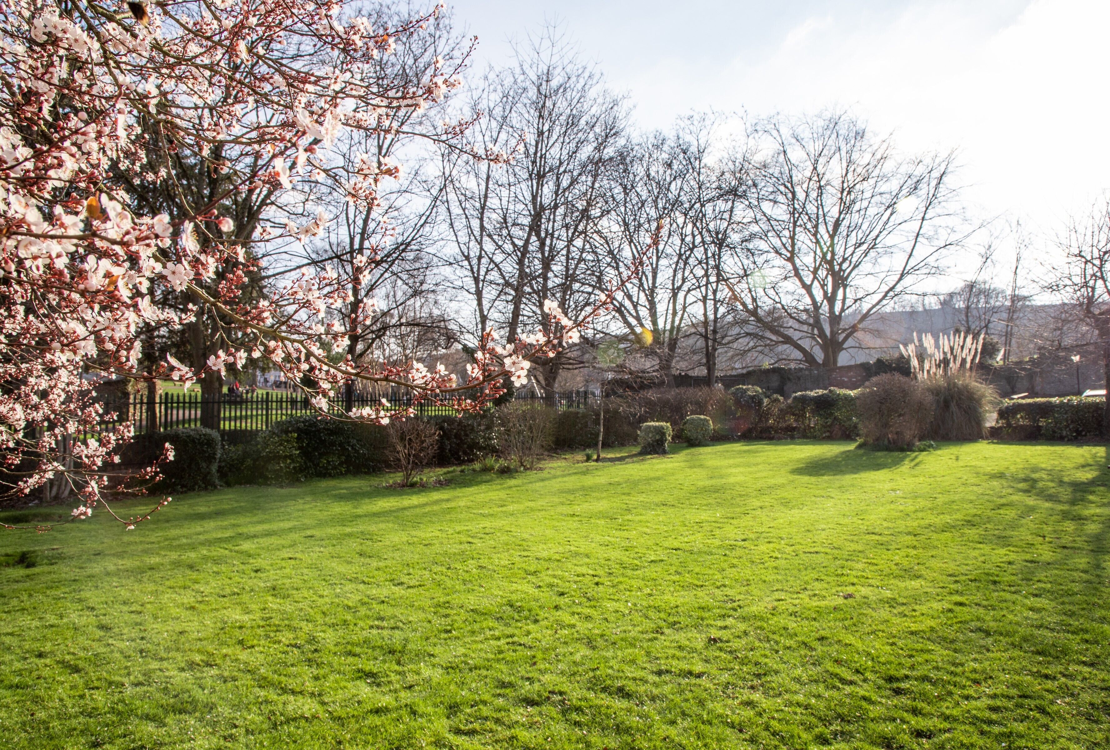 Photo - Arnos Manor Hotel