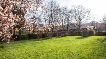 A well-maintained grassy lawn with a variety of trees and shrubs, including some with pink blossoms.