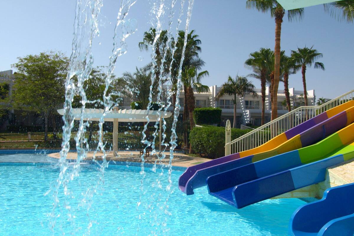 A water park with a pool, slides, and palm trees.