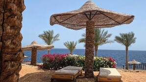 A beach with thatched umbrellas, lounge chairs, and palm trees.