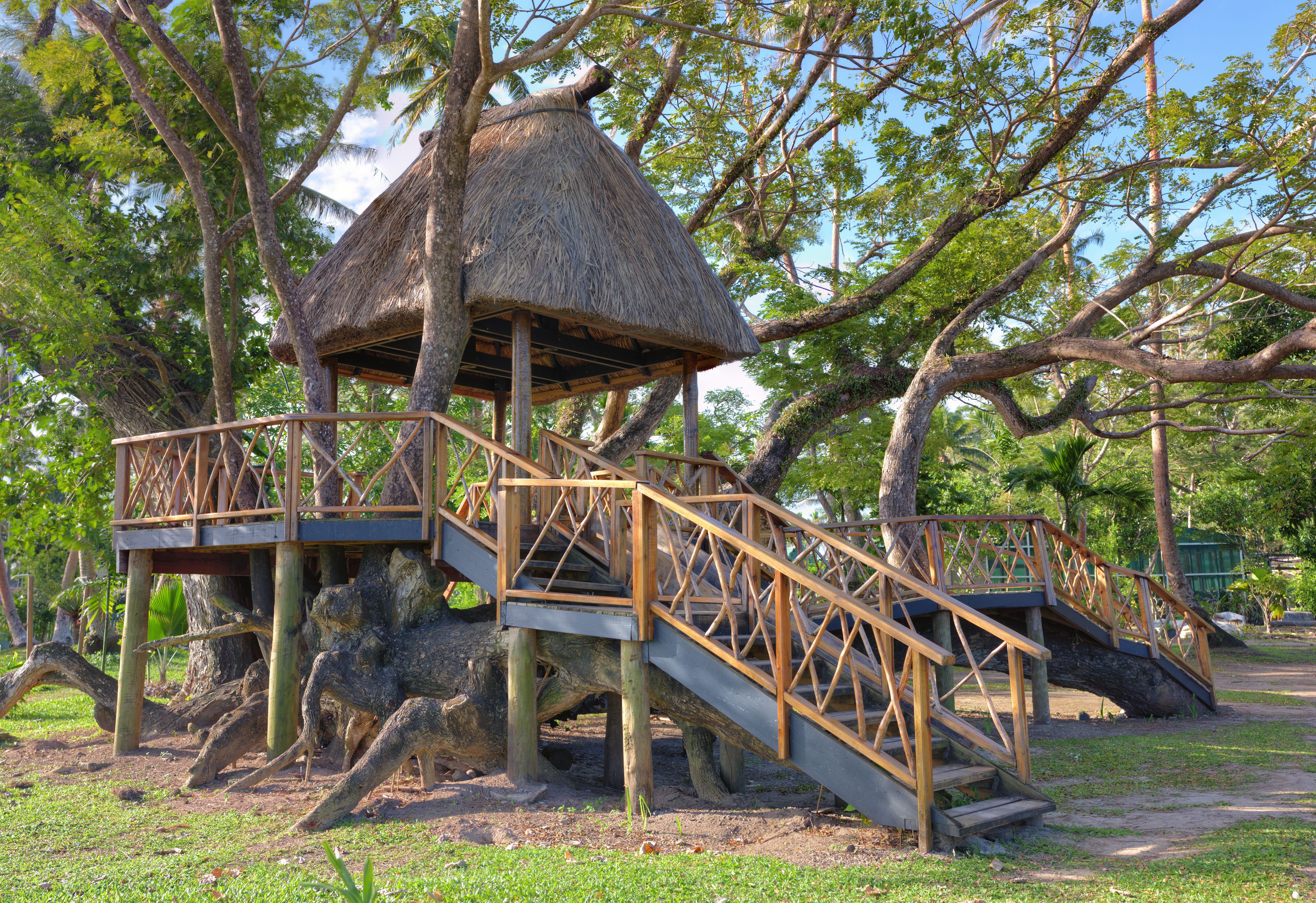 Una casa en el árbol con techo de paja y escalera de madera.