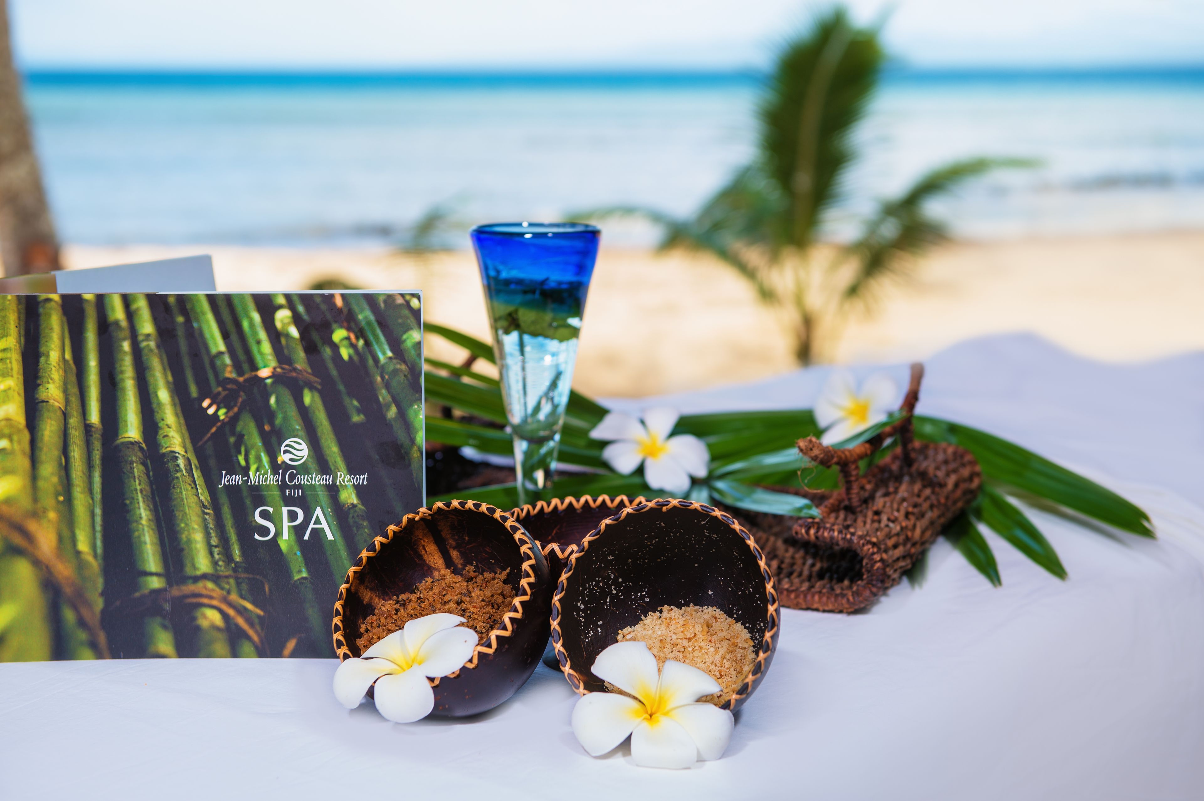 A spa brochure, two bowls with flowers, a glass of water, and a beach view.
