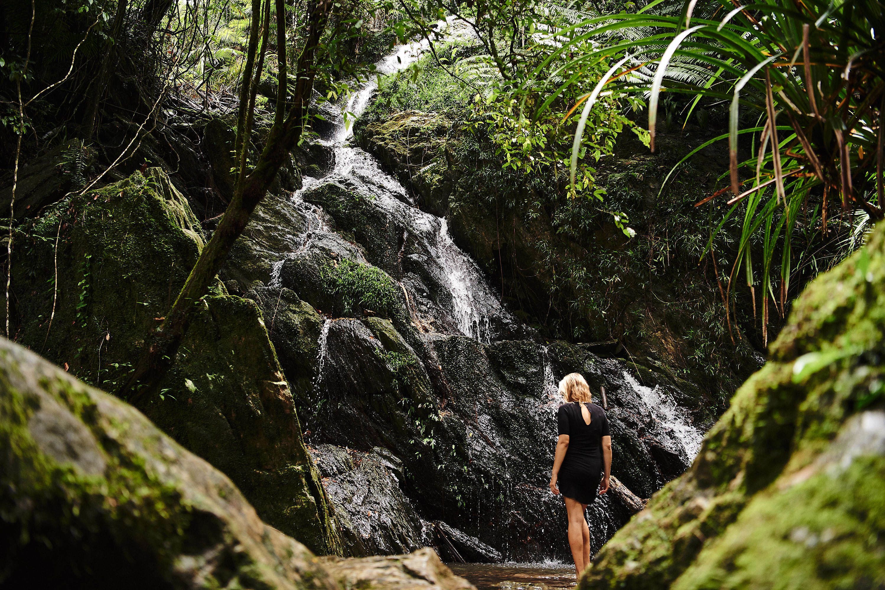 A woman standing by a waterfall in a forested area.
