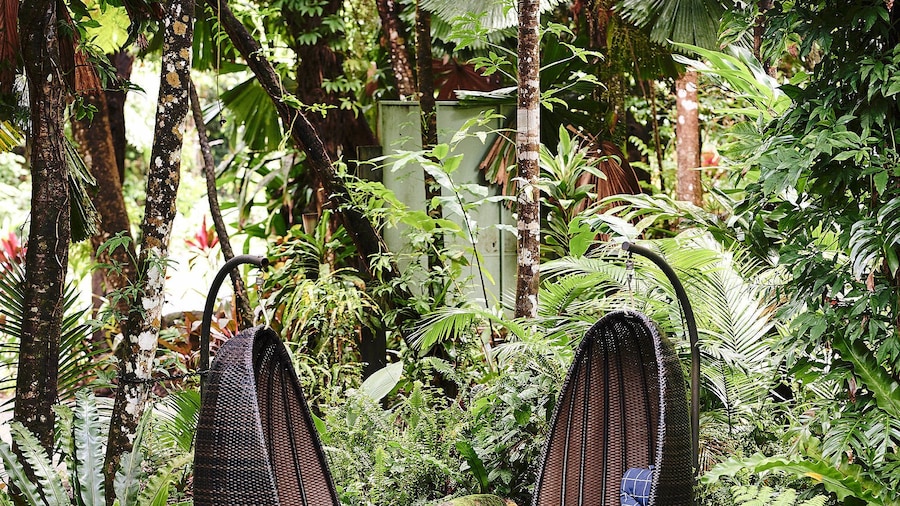 Daintree Ecolodge