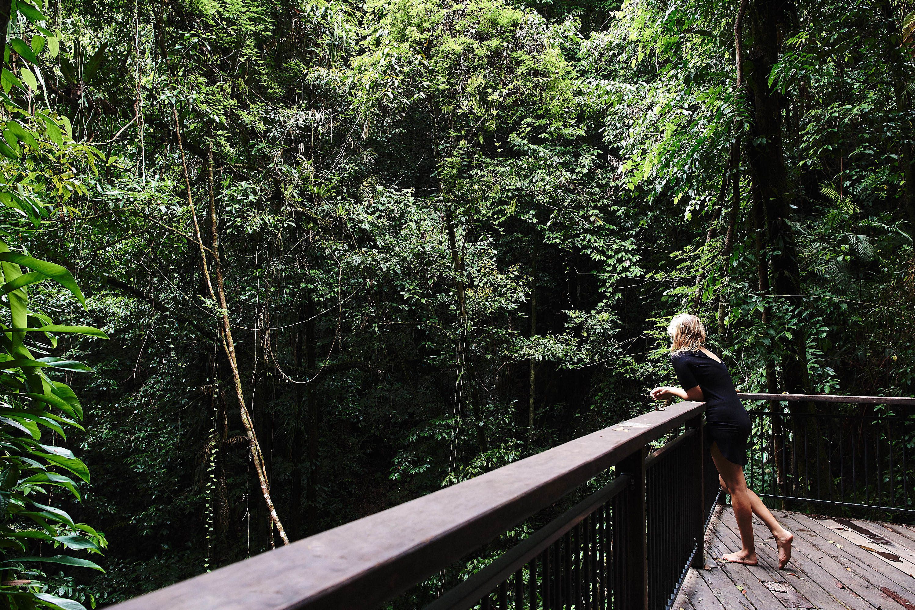 A woman standing on a wooden bridge in a forested area.