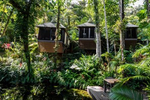 A secluded treehouse resort surrounded by dense tropical vegetation.