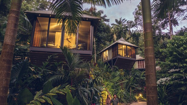 A two-story eco-lodge with a glass facade, surrounded by lush tropical vegetation. - Daintree Ecolodge (Lower Daintree)