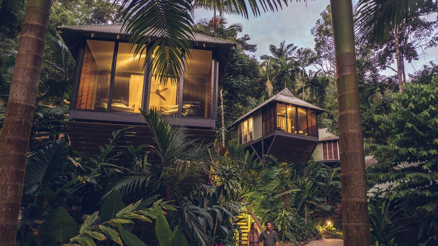 Daintree Ecolodge