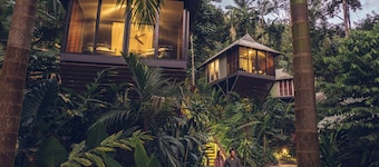 Daintree Ecolodge