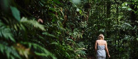 A woman walking on a forest path.