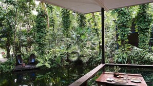 A wooden deck with a table set for dining, overlooking a pond surrounded by lush greenery. - Daintree Ecolodge (Lower Daintree)
