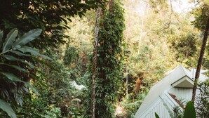 A wooden staircase leading to a white building surrounded by dense greenery. - Daintree Ecolodge (Lower Daintree)