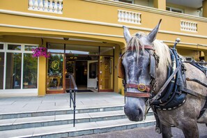Um cavalo com arreio em frente a um prédio com fachada amarela e varanda.