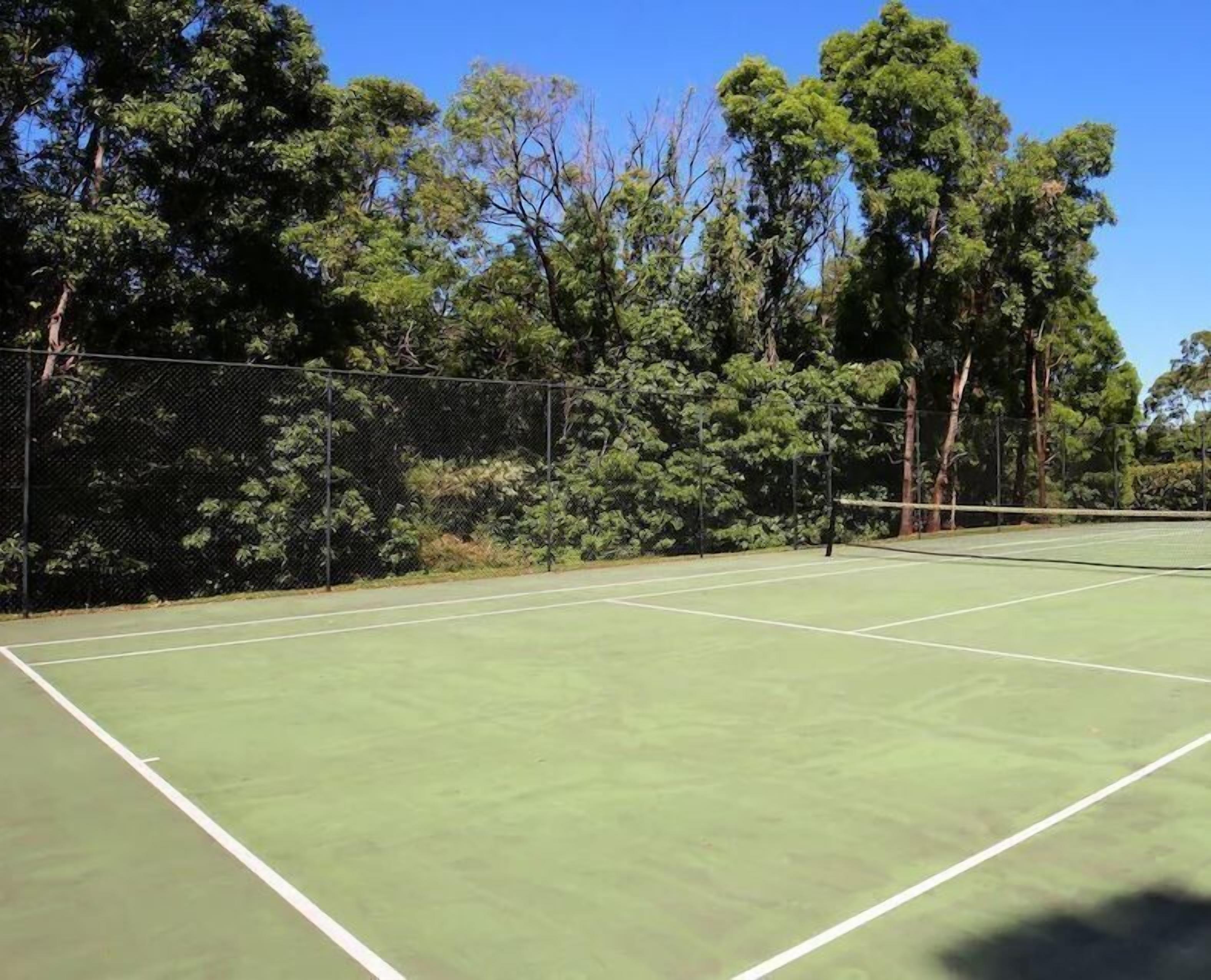 A tennis court surrounded by trees and a fence.