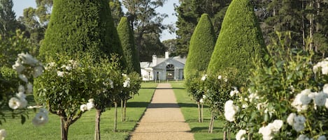 Overnattingsstedets uteområder