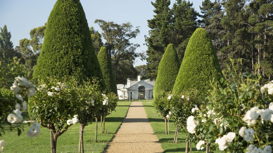 Lancemore Lindenderry Red Hill