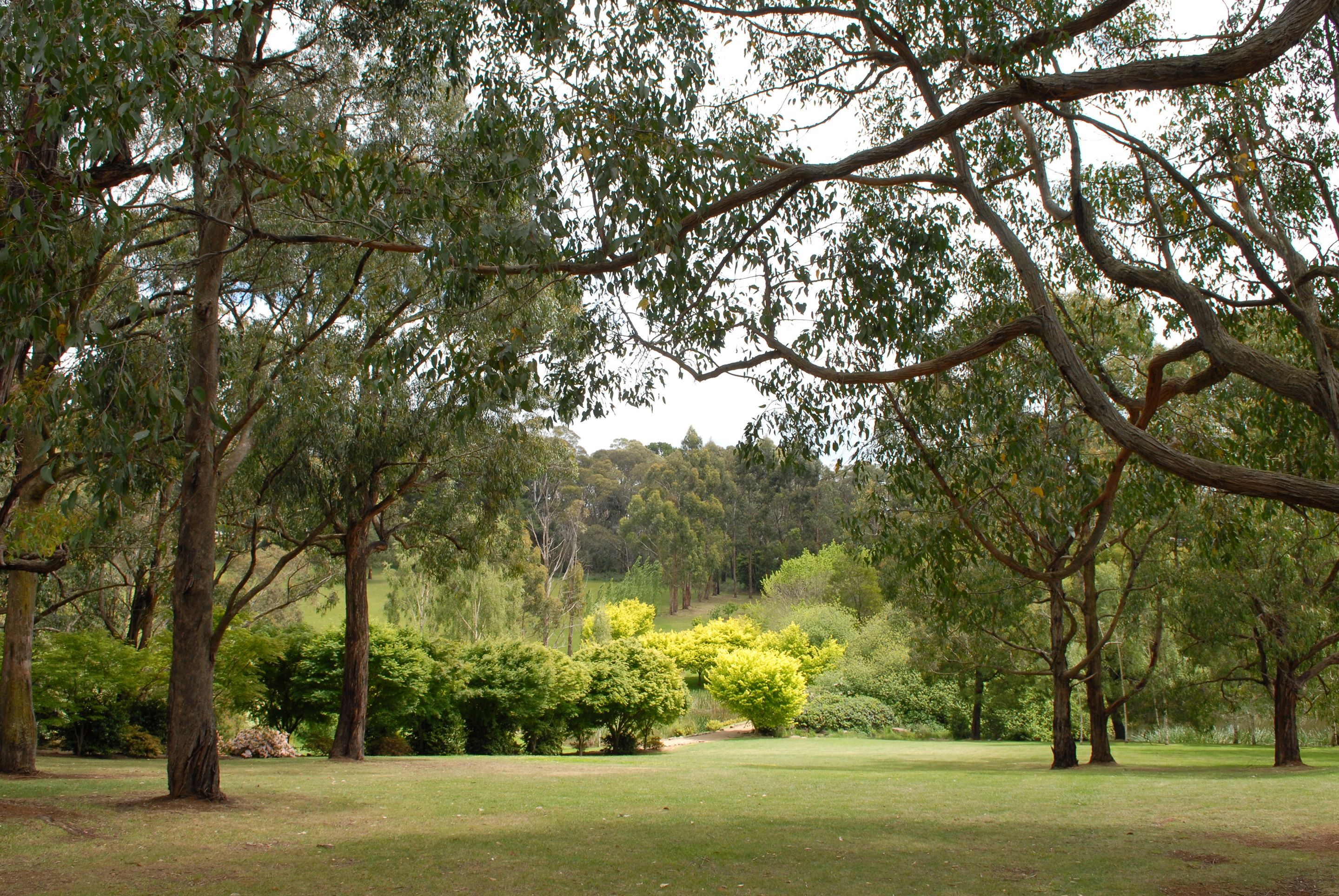 A park with mature trees, a well-maintained lawn, and a variety of shrubs.