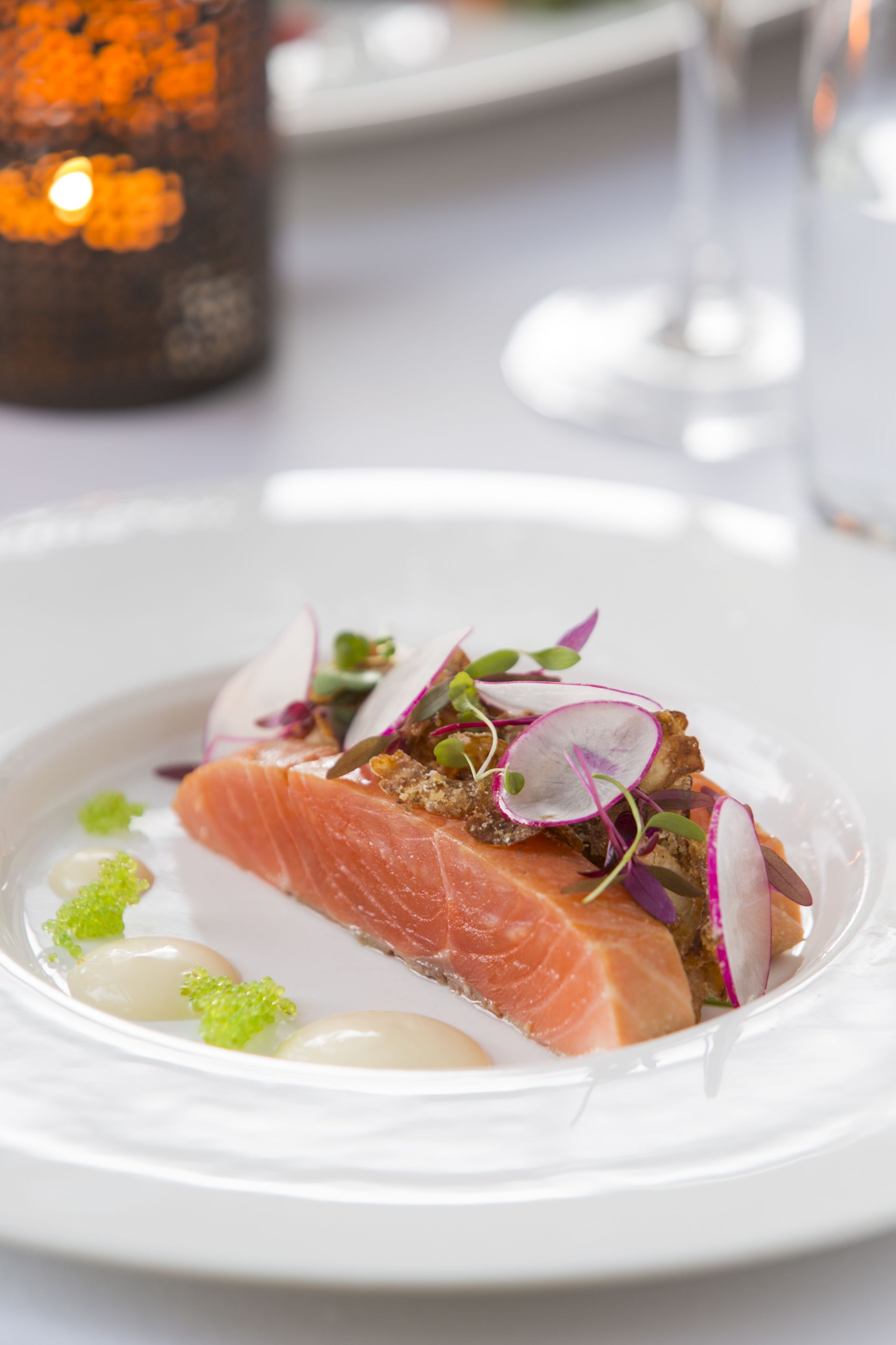 A plate of food with salmon, radishes, and greens.