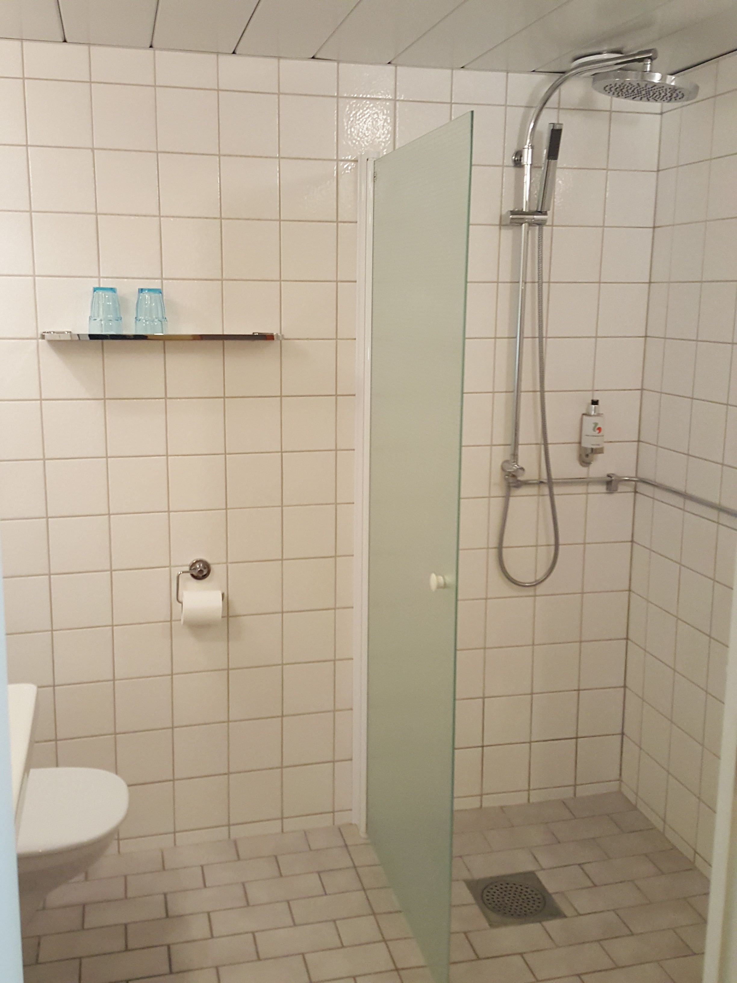 Ein kleines Badezimmer mit gefliesten Wänden, einer Duschkabine aus Glas, einer Toilette und einem Regal mit zwei Flaschen.