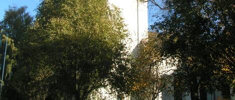 Una iglesia con una torre de campanario, rodeada de árboles.