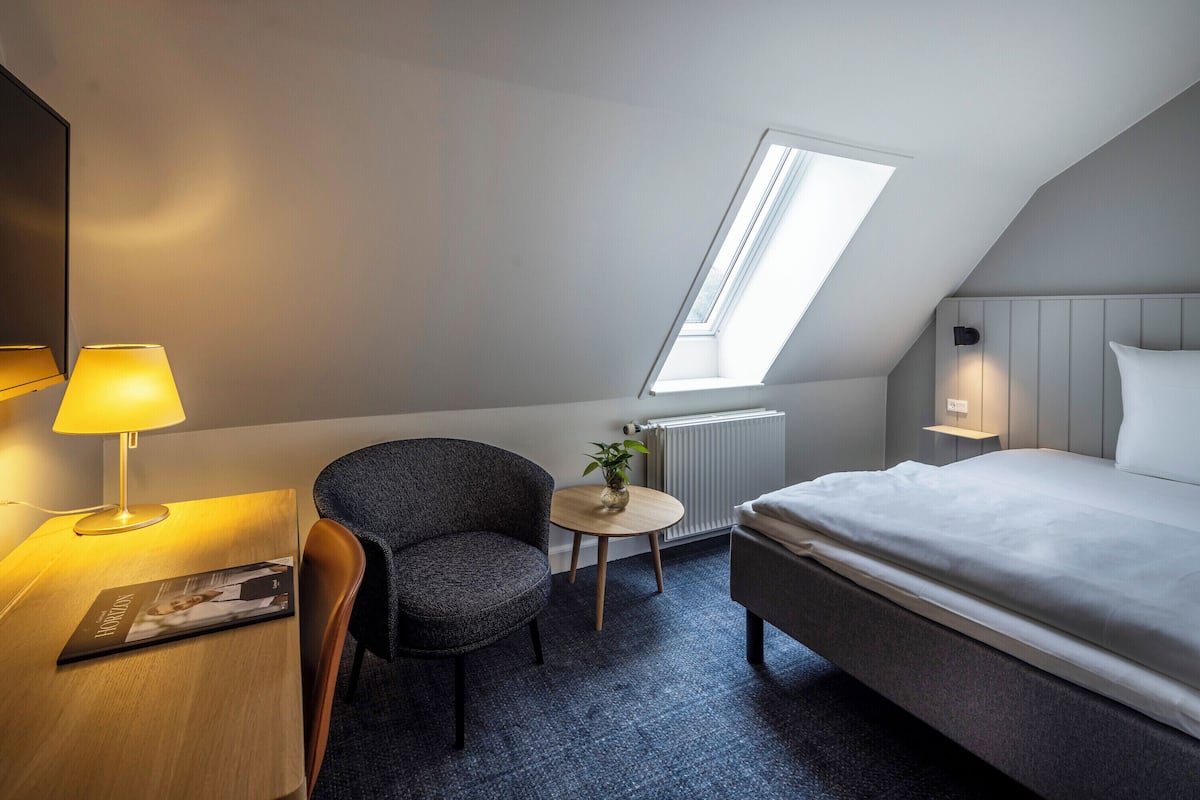 A hotel room with a bed, a desk with a lamp, a chair, a small table with a plant, and a skylight.