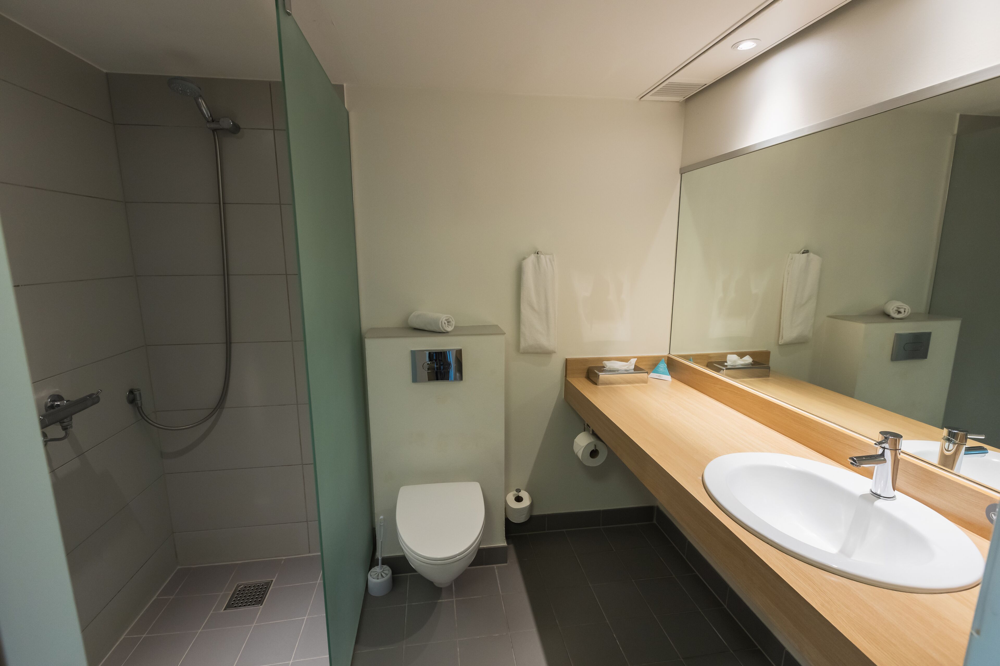 standard double room, 1 king bed, non smoking | bathroom | shower, free toiletries, hair dryer, towels