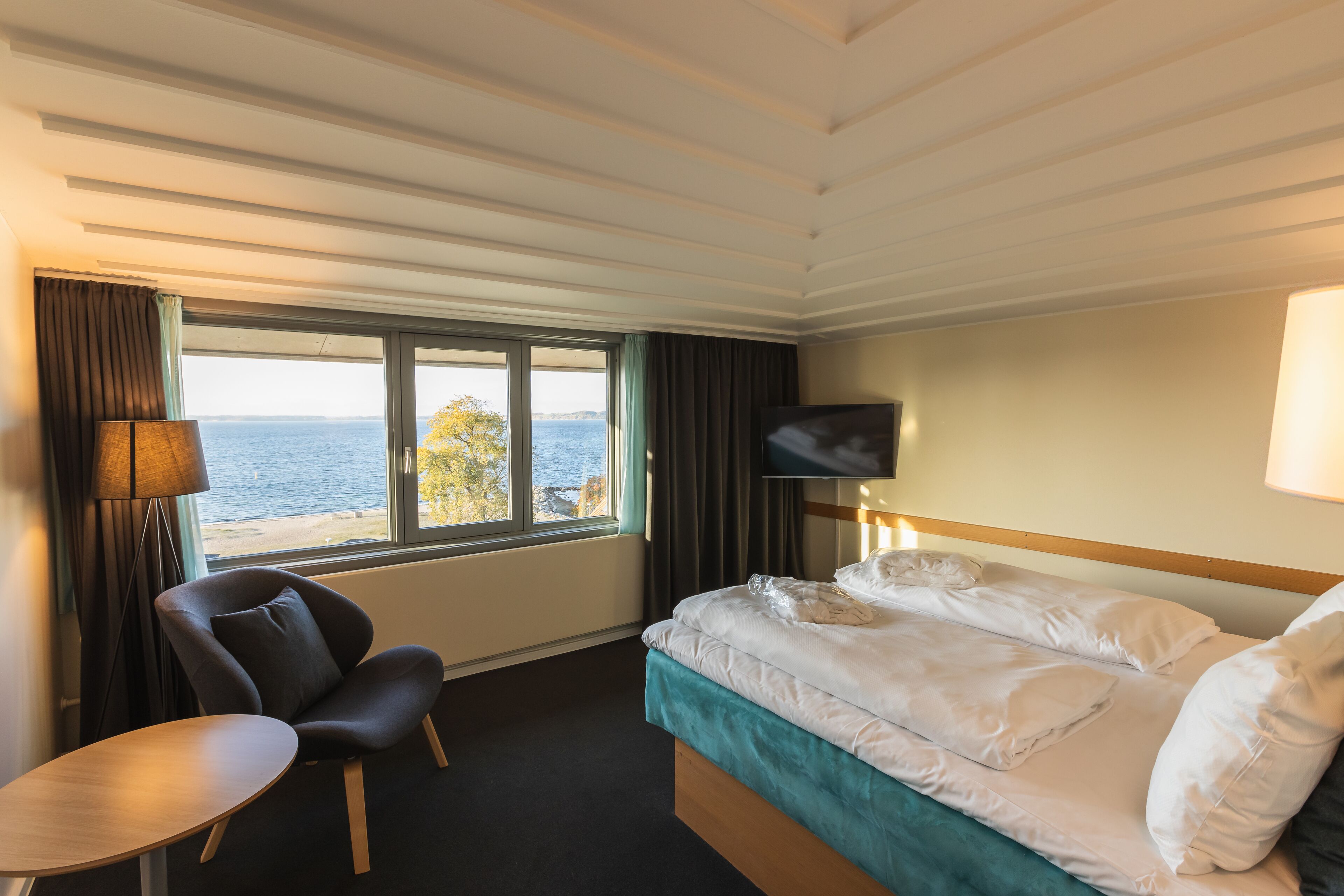 junior suite, 1 king bed with sofa bed, non smoking (with sofabed) | view from room