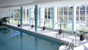 Una piscina interior amb parets de vidre transparent, palmeres en testos i vista a un paisatge verd.
