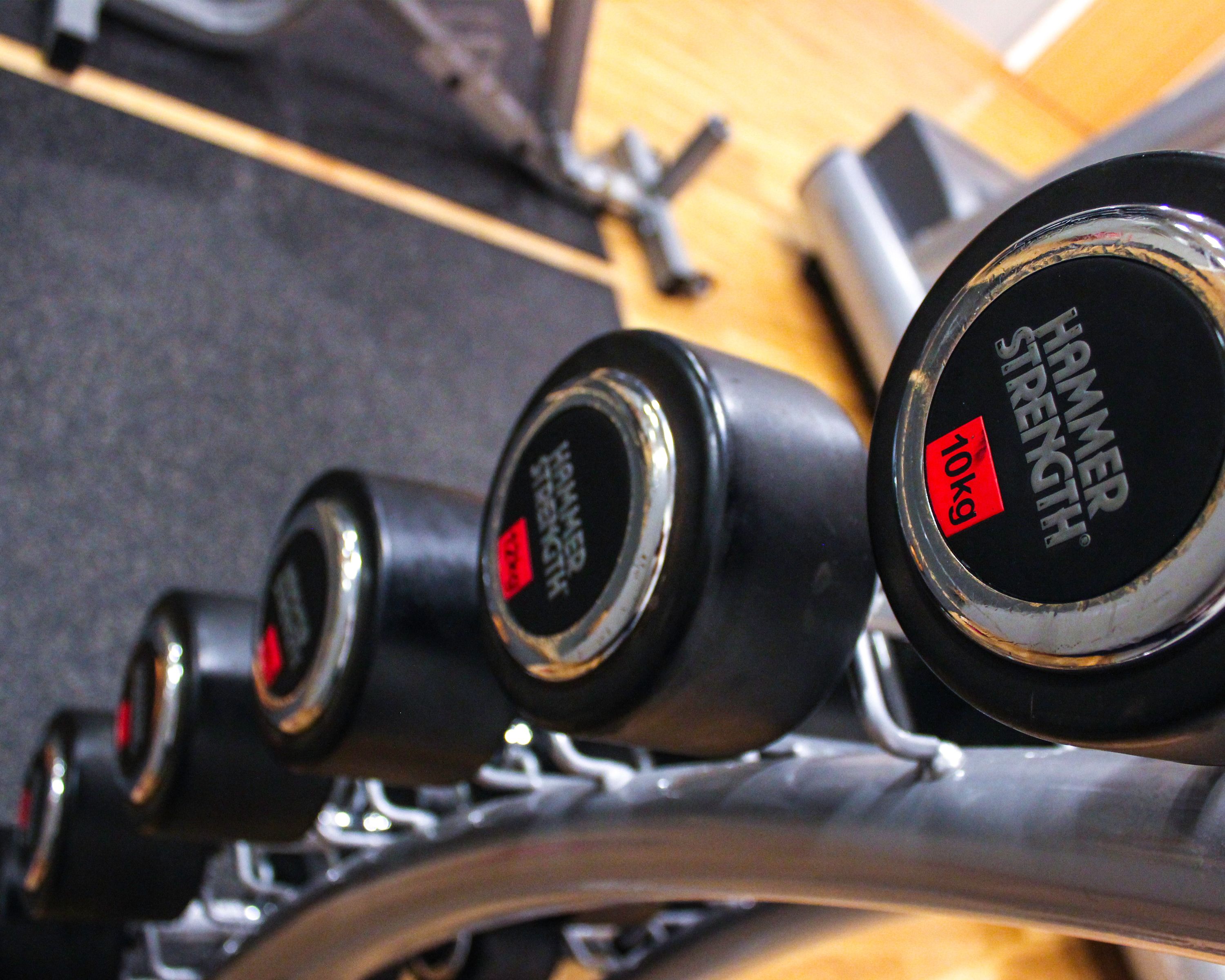 A row of 10kg dumbbells on a rack.