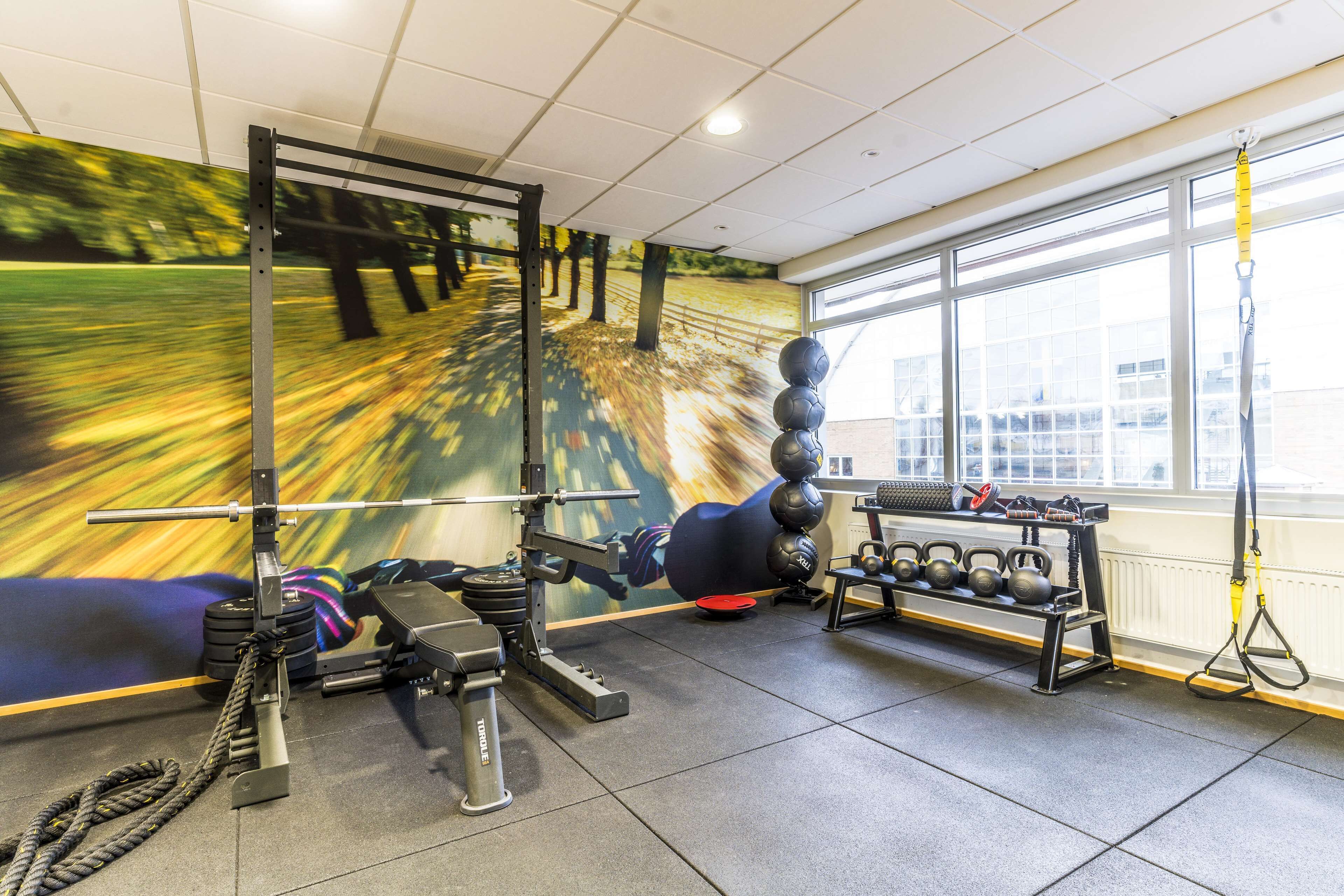 A gym with a pull-up bar, kettlebells, a bench, and a rope.