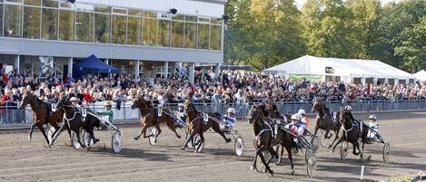 A horse race event with multiple horses and jockeys in a dirt track arena.