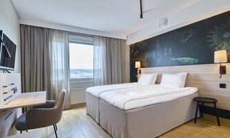 Escritorio, espacio para trabajar con laptop y cortinas blackout 