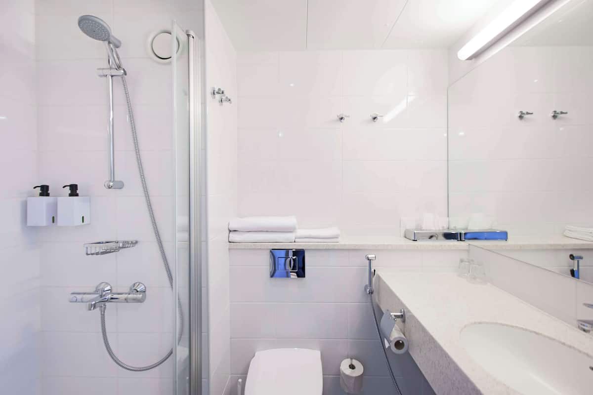 shower, free toiletries, hair dryer, bidet