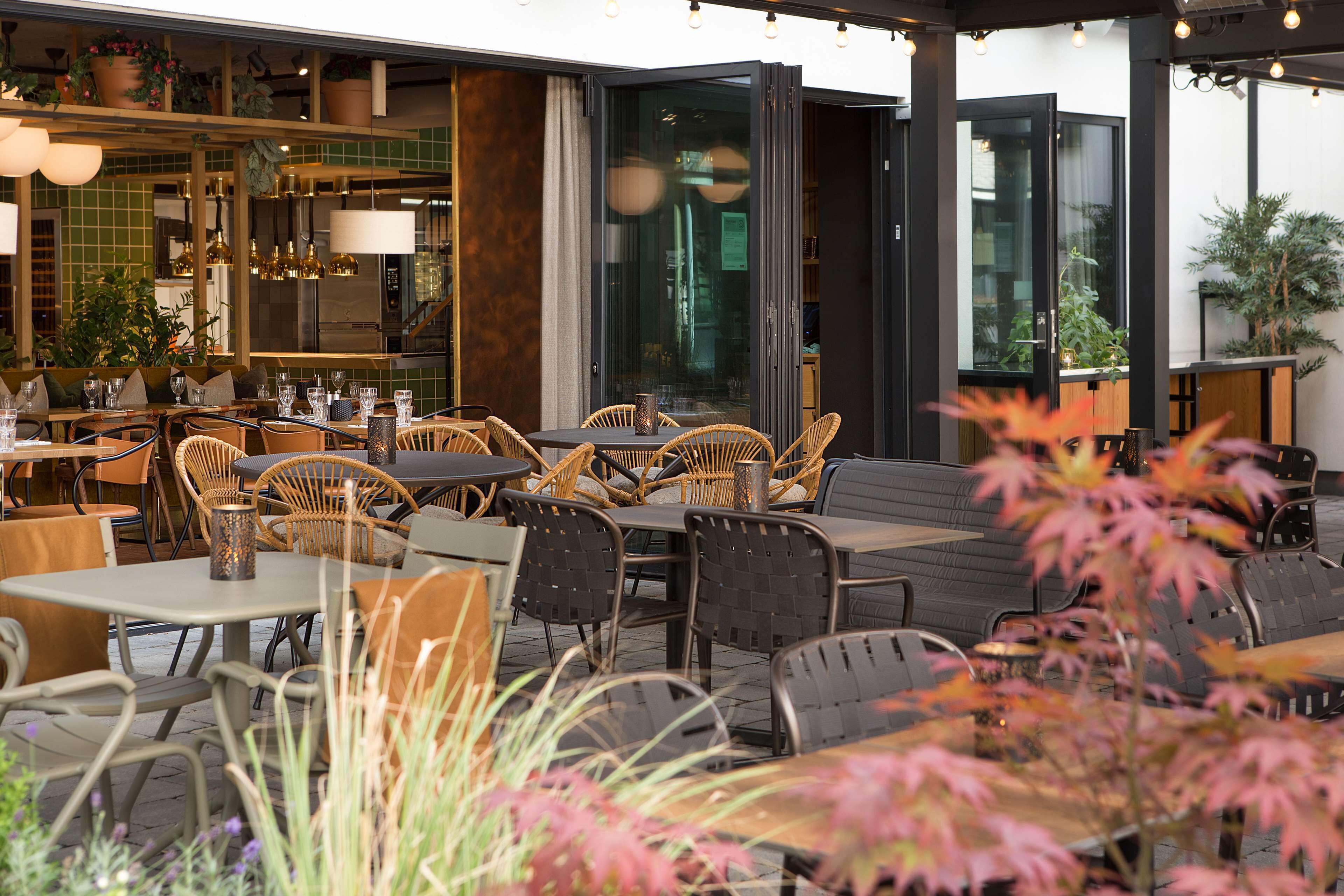 供應早餐及晚餐；本地菜