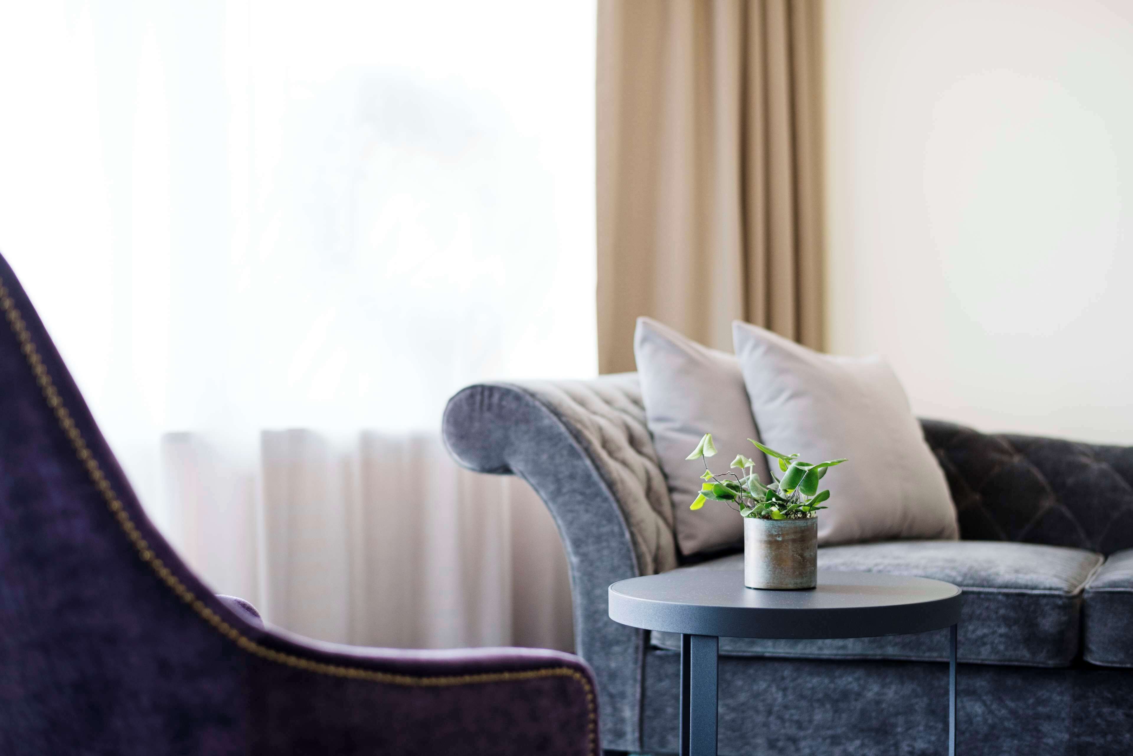 A modern living room with a grey sofa, a round side table with a potted plant, and a purple armchair.