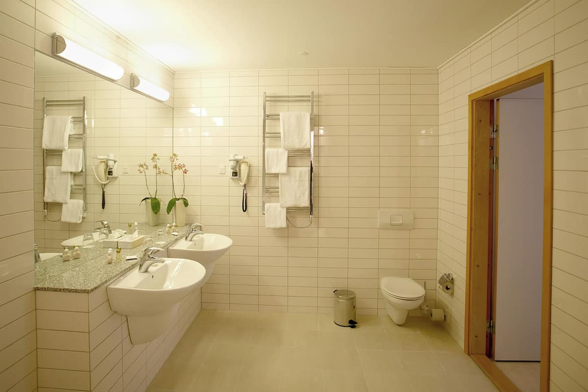 suite | bathroom | shower, hair dryer, towels, soap