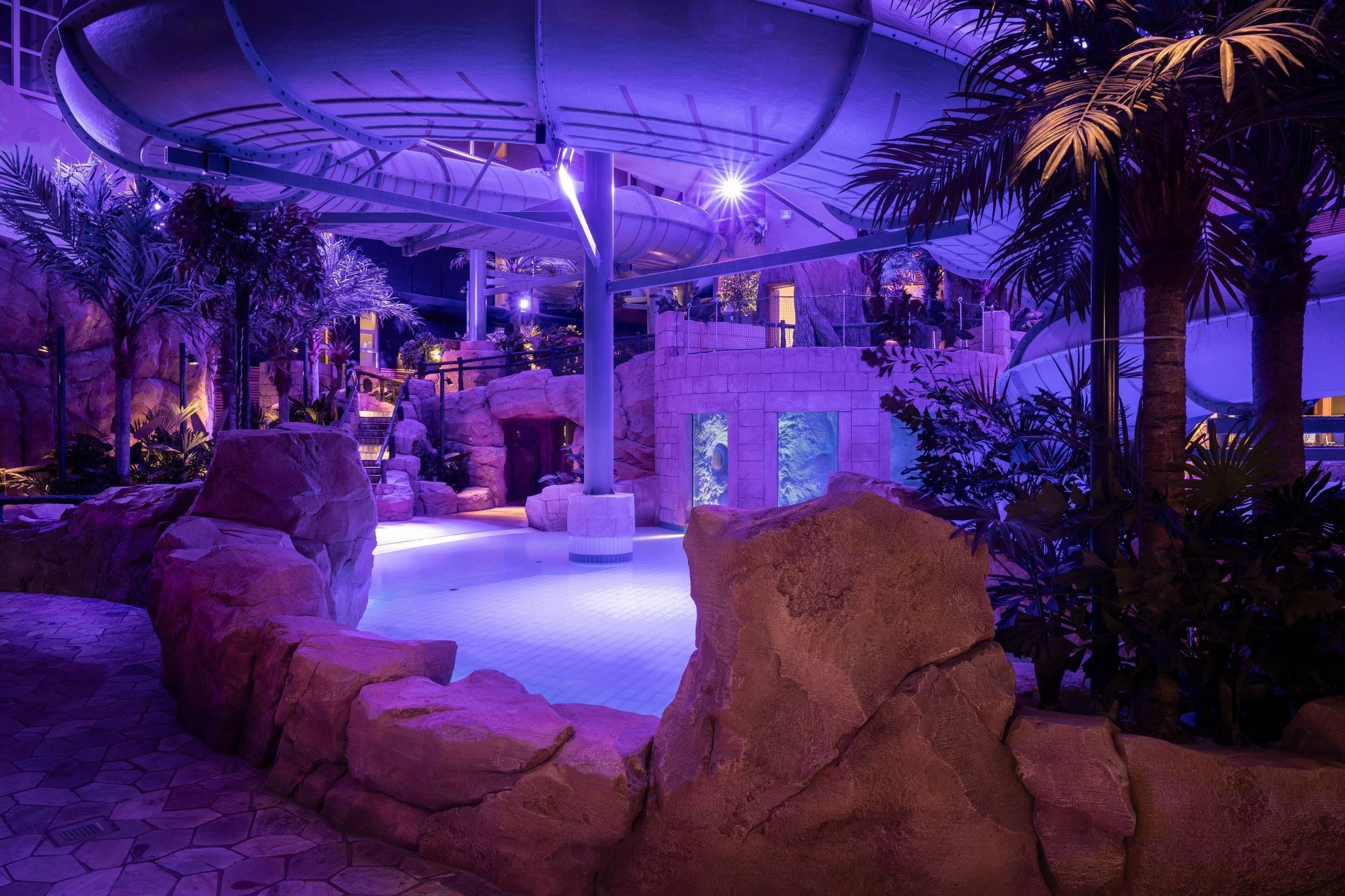 An indoor tropical-themed area with rock formations, palm trees, and a water feature.