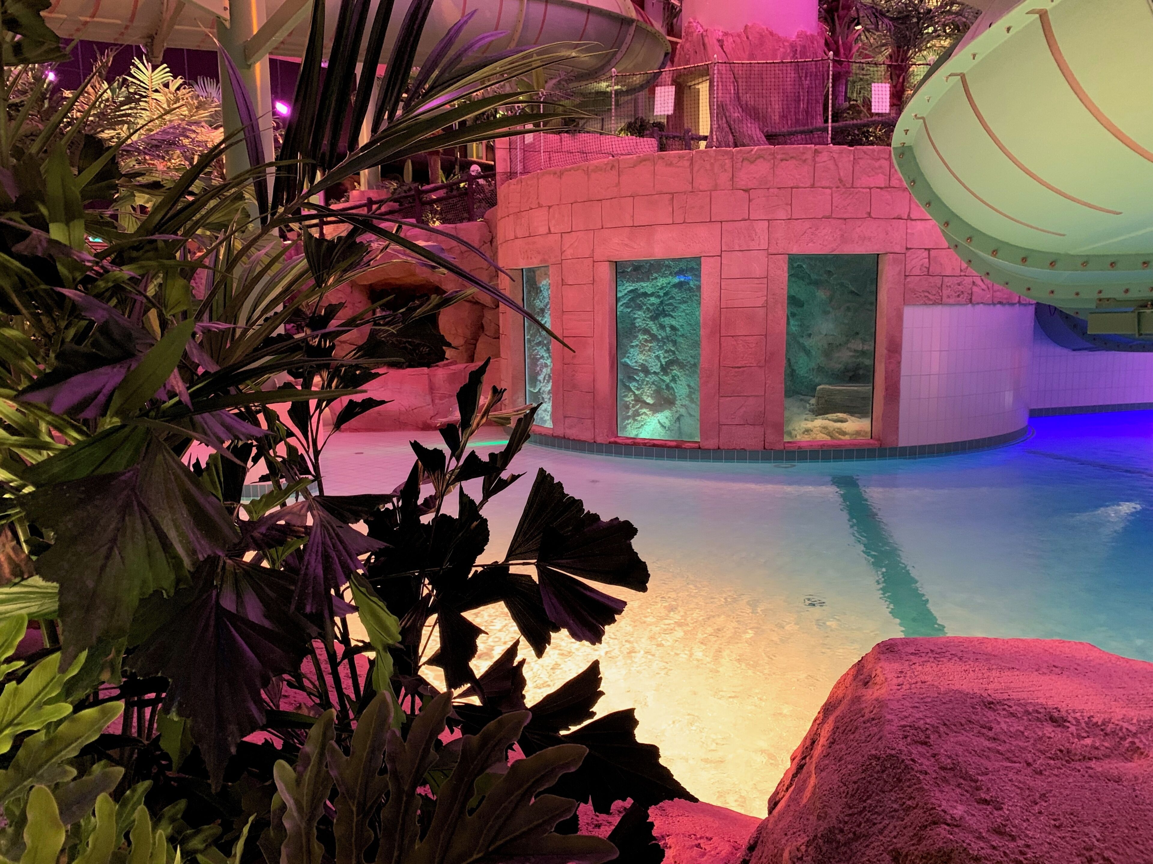 An indoor pool area with a rock wall, water features, and tropical plants.