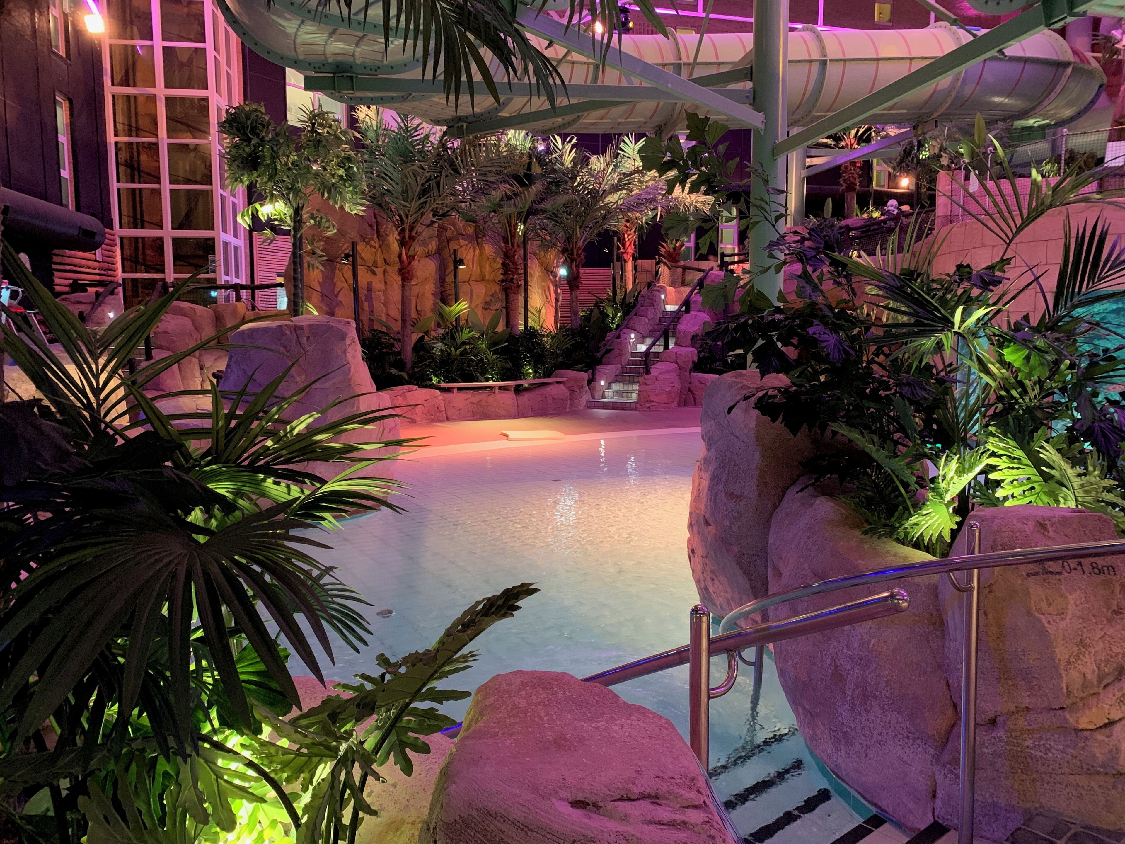 A pool area with rock formations, palm trees, and a staircase leading to an upper level.