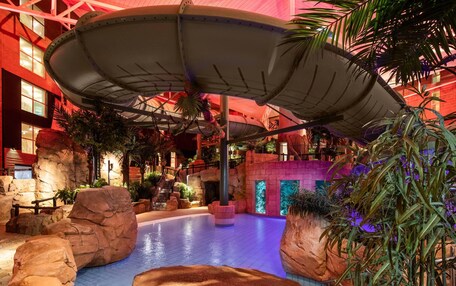 An indoor water feature with a circular pool, surrounded by rock formations and tropical plants.
