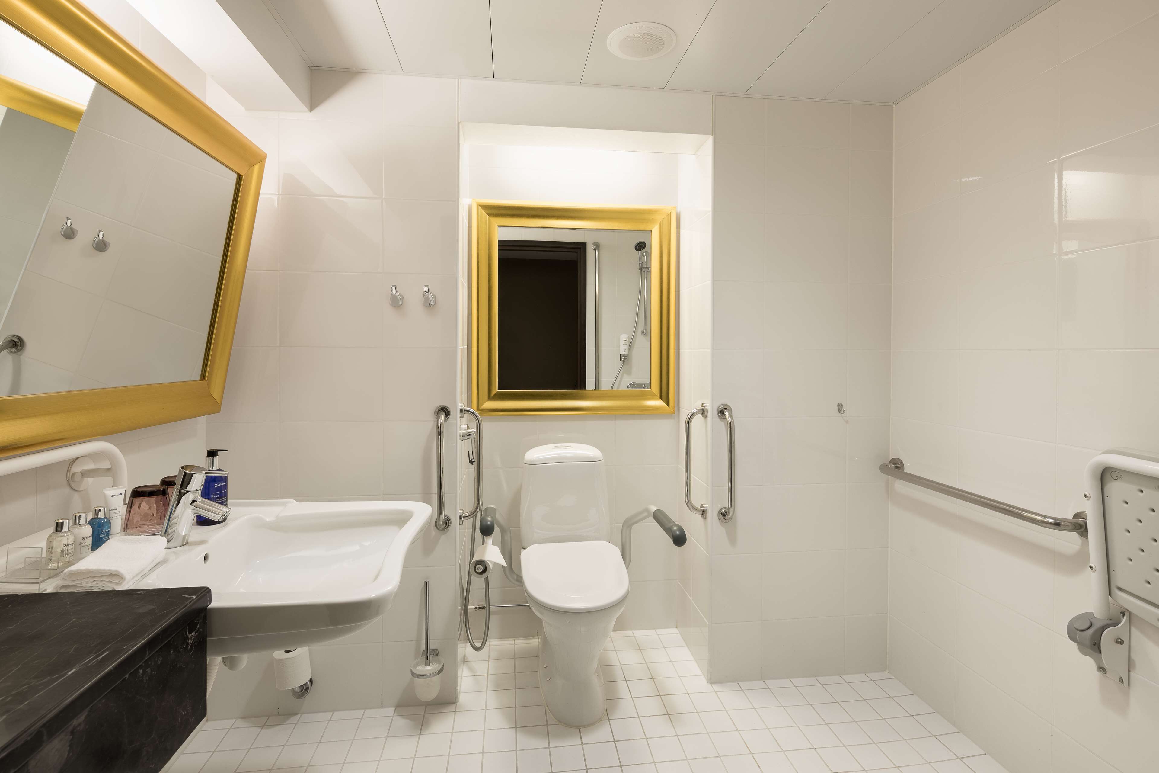A bathroom with a white sink, toilet, and shower, equipped with grab bars and a handrail.