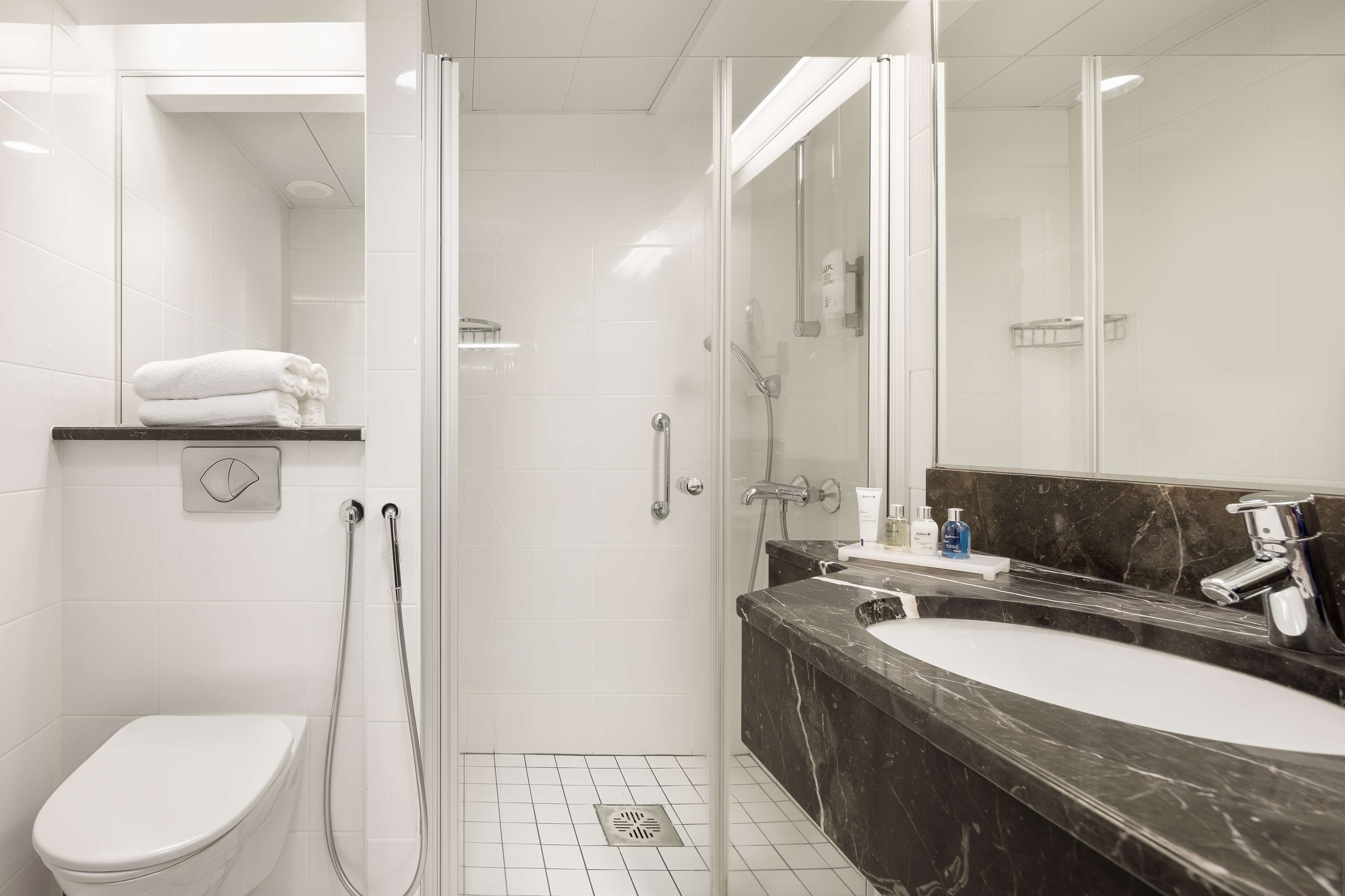 standard room, city view (shower) | bathroom shower