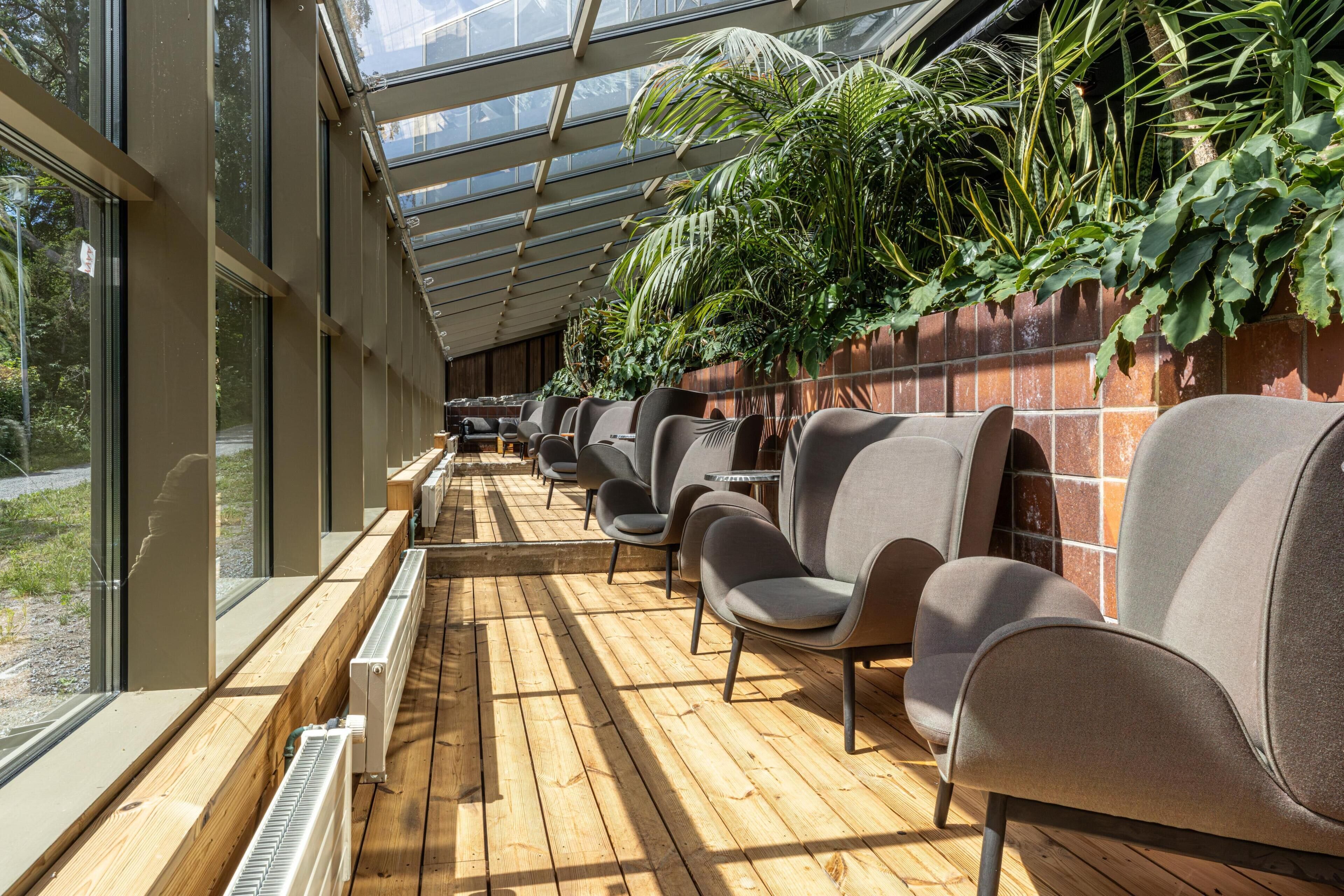 A sunlit indoor seating area with wooden flooring, a glass ceiling, and a brick wall adorned with greenery.