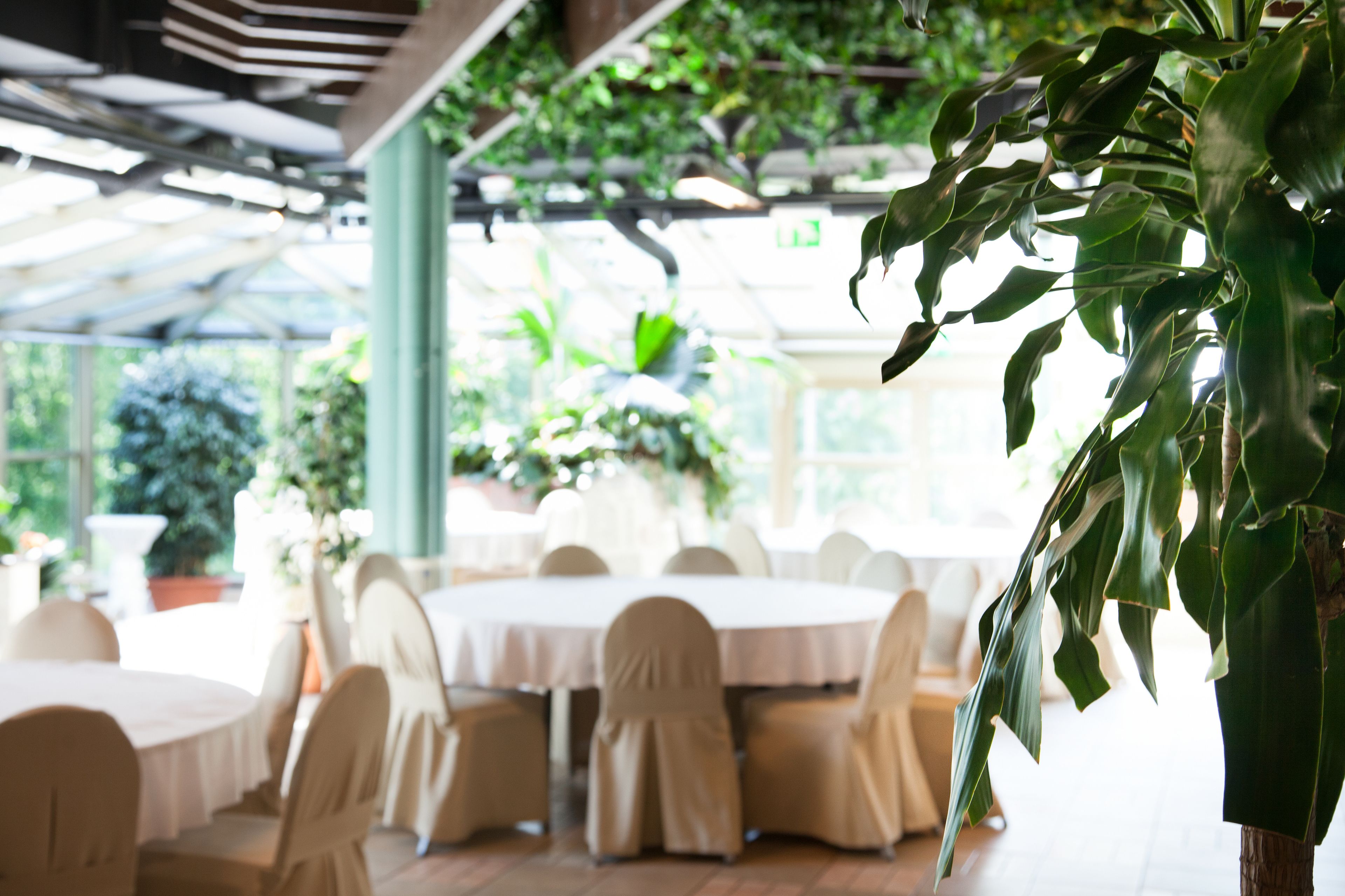 Un restaurante con mesas y sillas redondas, cubierto por un techo de vidrio y rodeado de plantas en macetas.